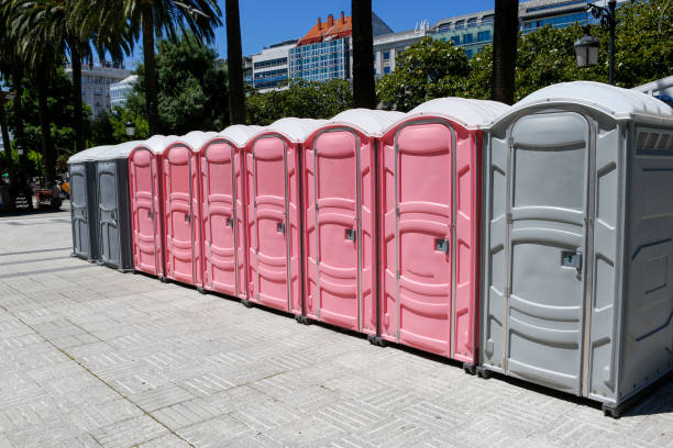 Types of Portable Toilets We Offer in Snoqualmie, WA